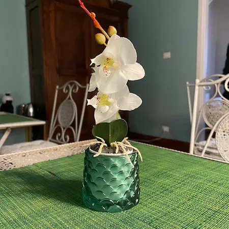 Bed & Breakfast La Magia Del Mare Sanremo