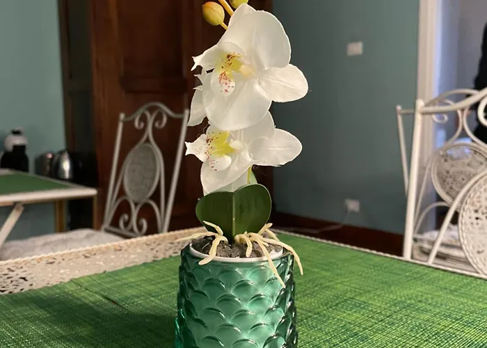 Bed & Breakfast La Magia Del Mare Sanremo